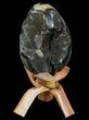 Septarian Dragon Egg Geode - Black Crystals #72066-3